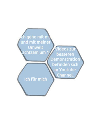 Selbstkontrolle